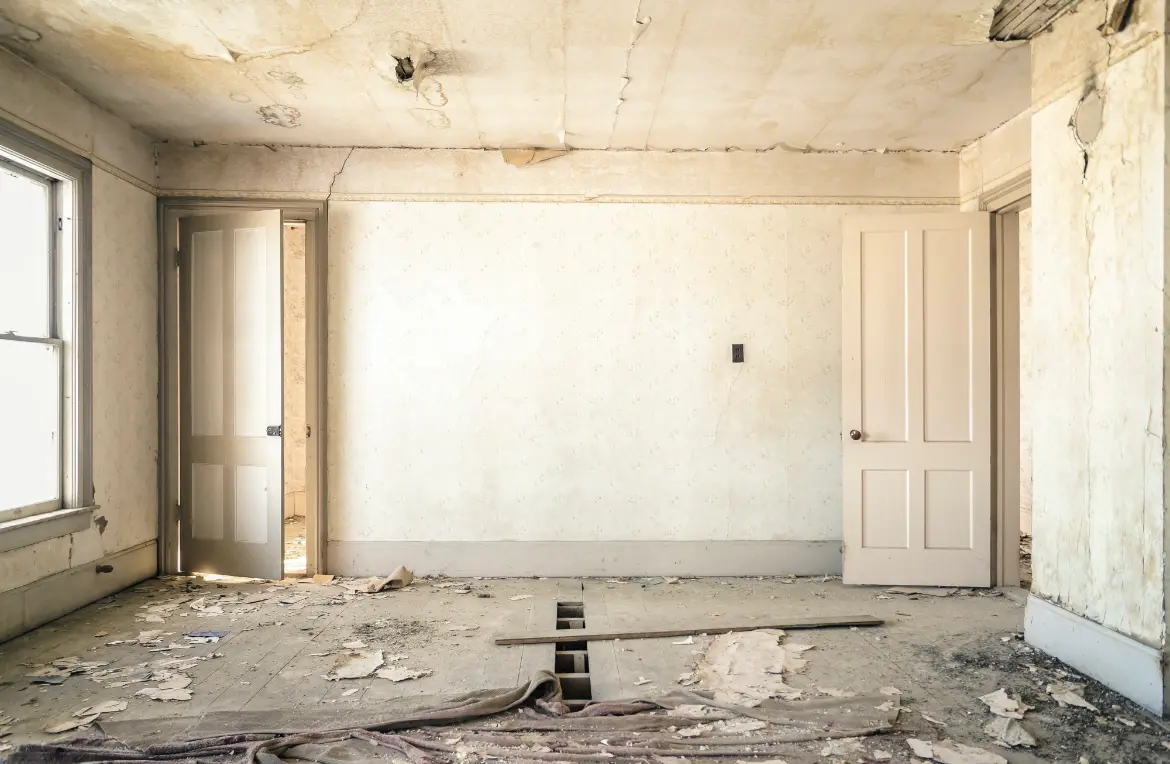 Waste disposal crew managing a cleanout project in San Carlos